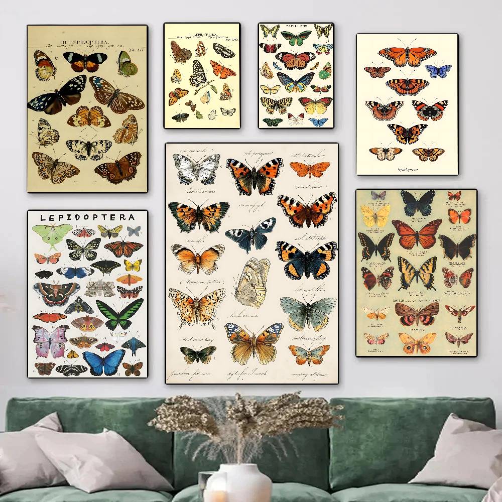 Vintage Collectible Posters - Vintage vlinder- en insectencollectie posters HD