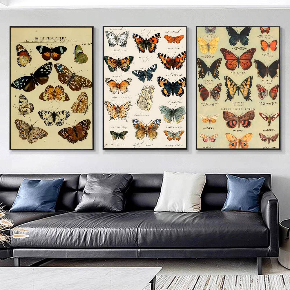 Vintage vlinder- en insectenco - Vintage Collectible Posters recensie en prijs