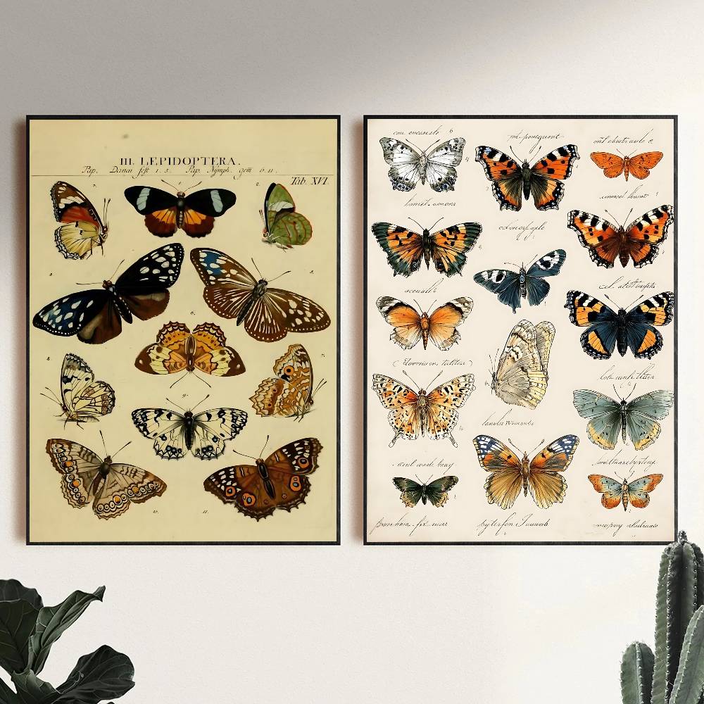 Vintage vlinder- en insectenco - Vintage Collectible Posters recensie en prijs