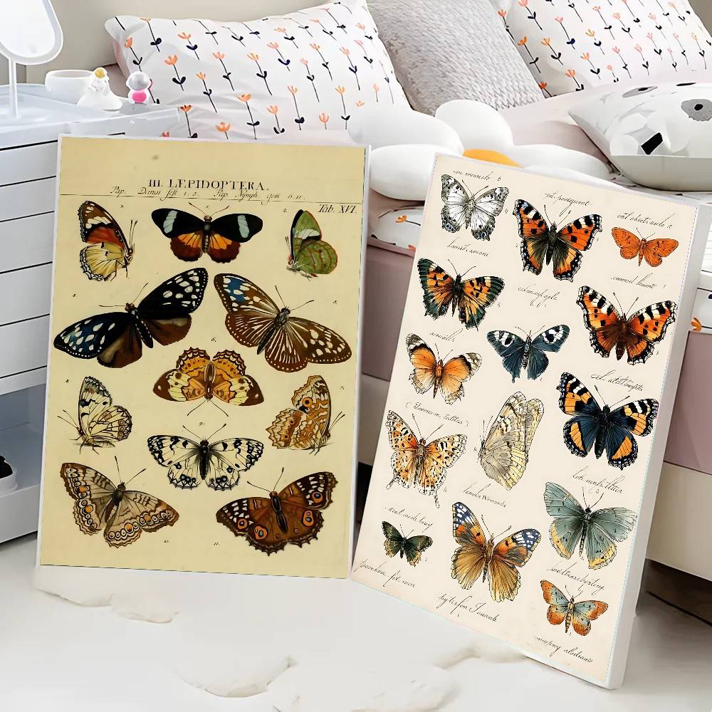 Vintage vlinder- en insectenco - Vintage Collectible Posters recensie en prijs