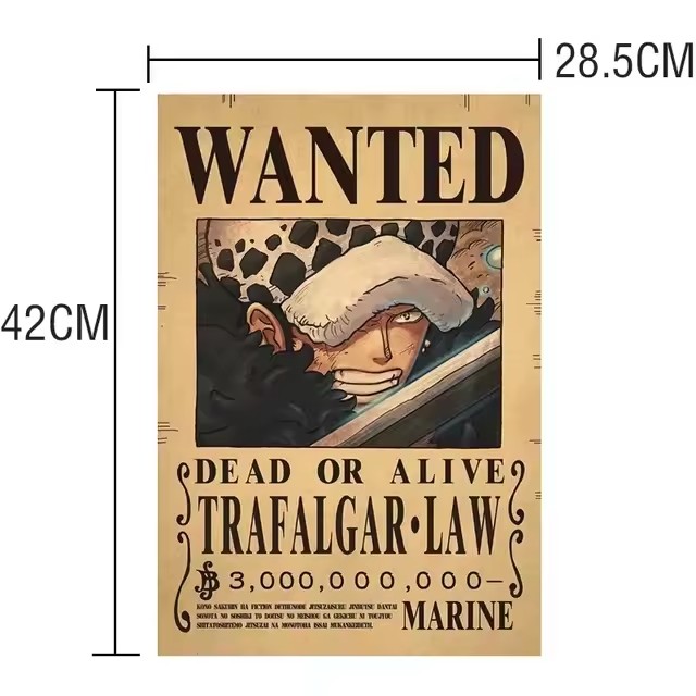Anime One Piece Bounty Wanted  - Vintage Collectible Posters recensie en prijs