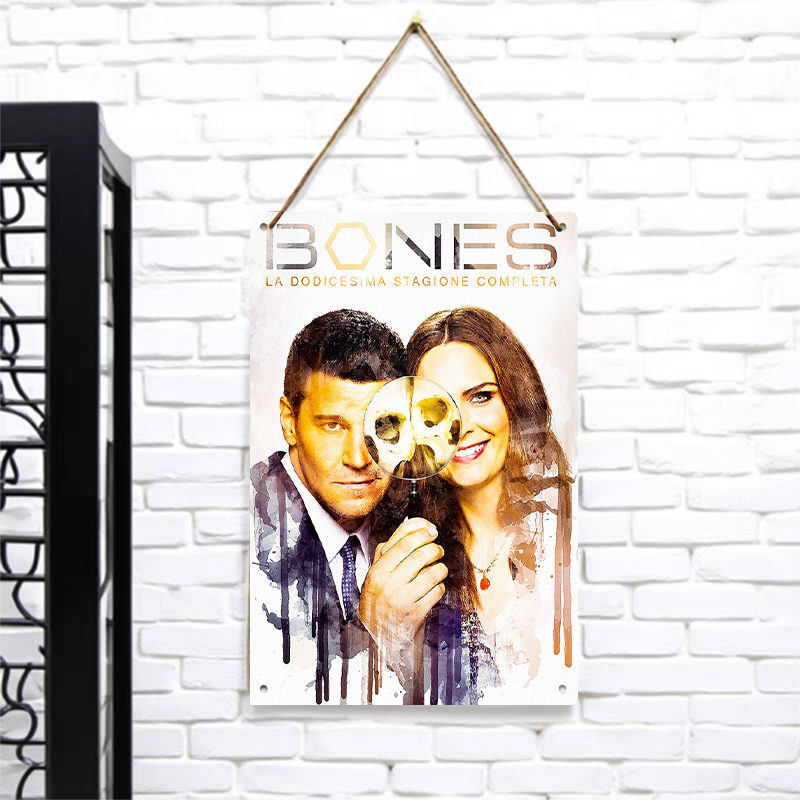 Bones Seizoen 12 Poster Metale - Vintage Collectible Tins recensie en prijs