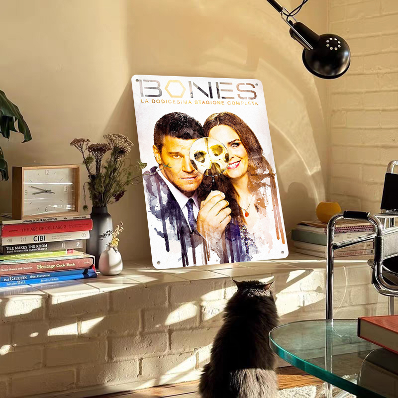 Bones Seizoen 12 Poster Metale - Vintage Collectible Tins recensie en prijs